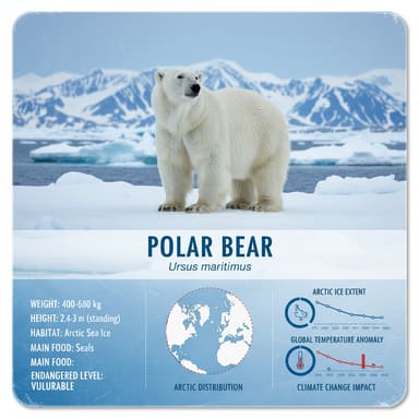 Animal Info Card example 1 (animal-info-card)